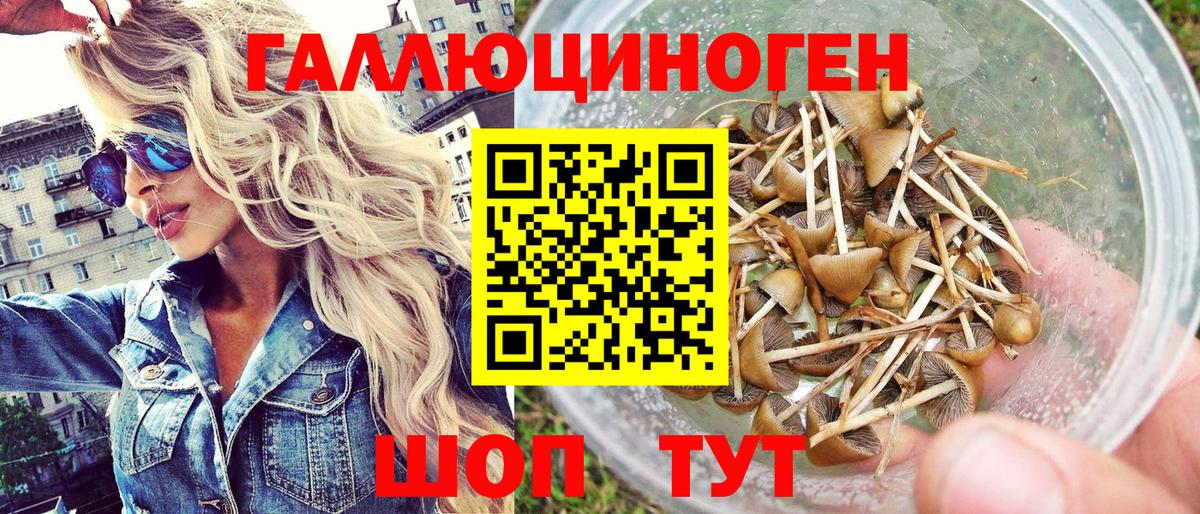 Богданович  Галлюциногенные грибы MAGIC MUSHROOMS  Вход с VPN 